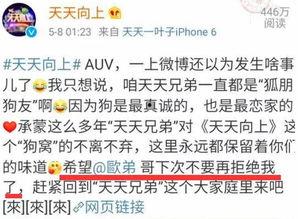 娱乐吃瓜口播文案简短一点,娱乐圈最新瓜料速递