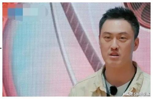 娱乐圈吃瓜爆料神图,吃瓜爆料背后的真相大起底