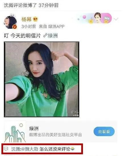 娱乐圈吃瓜网站,明星幕后真相大曝光!