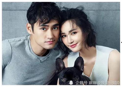 娱乐圈吃瓜爆料哇唧唧哇,哇唧唧哇内部风云再起,吃瓜群众纷纷围观