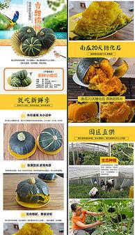 娱乐吃瓜背景模板下载安装,揭秘明星幕后故事,吃瓜群众狂欢时刻