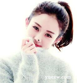 娱乐八卦吃瓜赵丽颖小说免费阅读,揭秘明星背后的故事，免费畅读