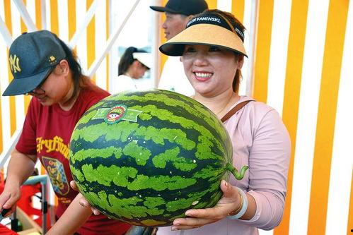 娱乐网吃瓜,揭秘明星幕后故事