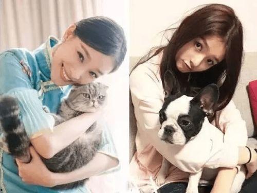 娱乐吃瓜拍到恋情,当红明星甜蜜恋情曝光,甜蜜瞬间被吃瓜群众捕捉