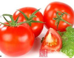 番茄娱乐圈读心吃瓜文,揭秘明星内心世界,吃瓜群众必备指南