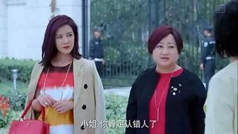 娱乐圈吃瓜小花小说,揭秘明星背后的秘密,吃瓜小花带你探秘花边新闻