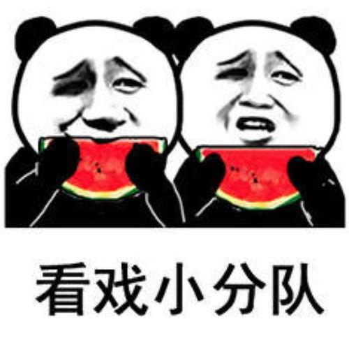 吃瓜娱乐小狗表情包,萌态百出，笑料横生